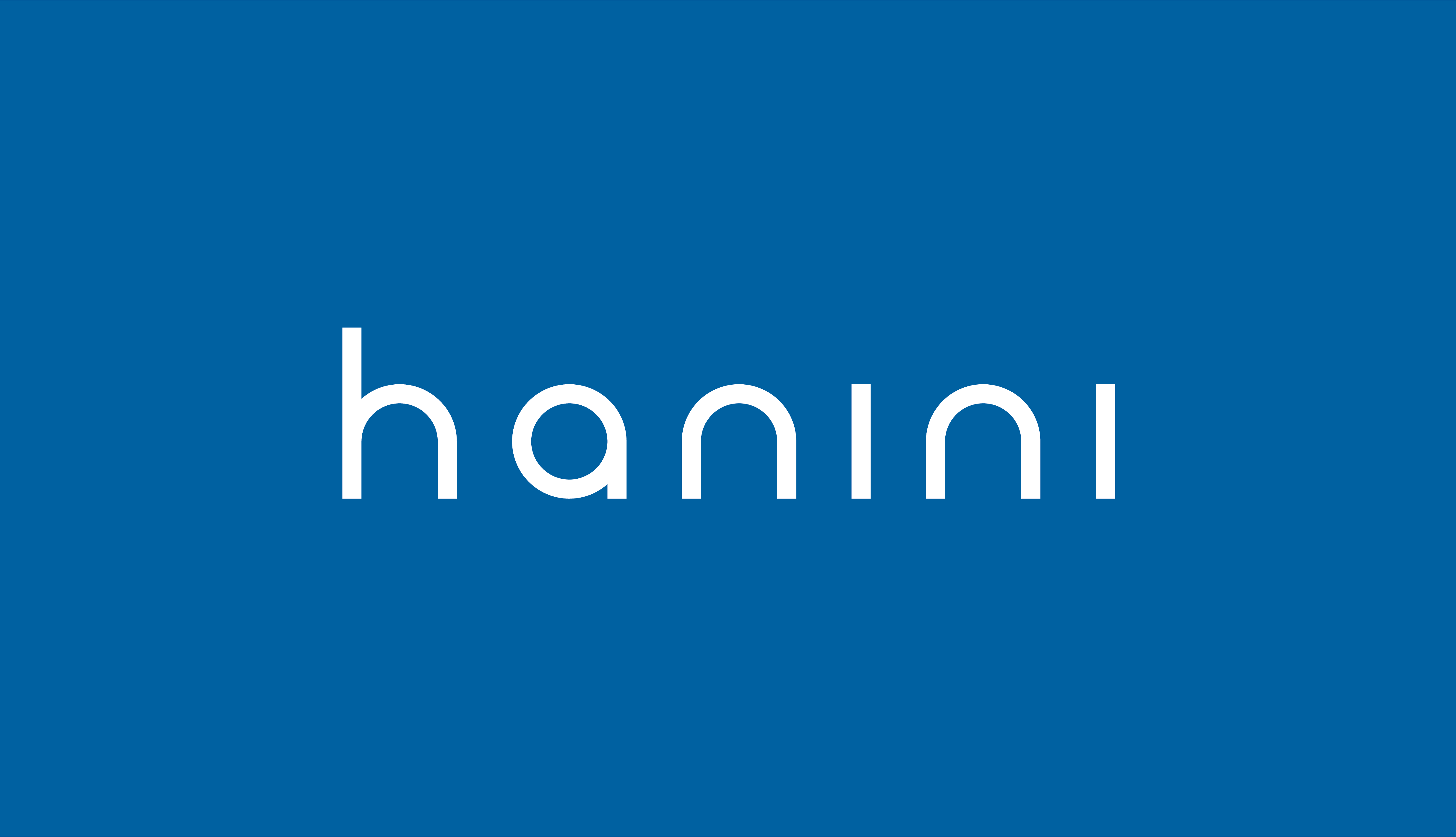 Hanini Group_Logo_BLUE